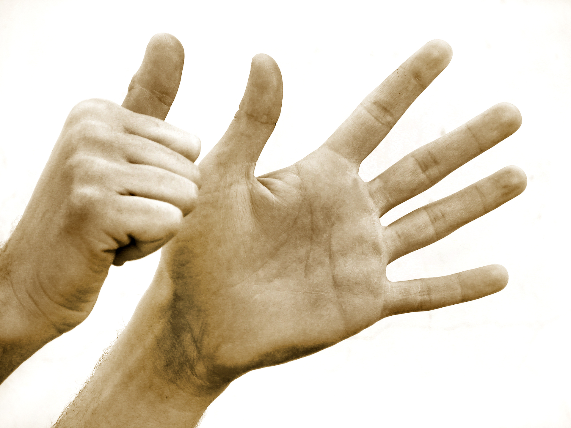 six-1312481-1920x1440